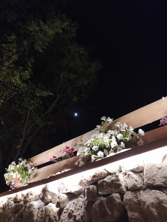 Brvnara Fairy Tale Villa Cetinje Exteriör bild