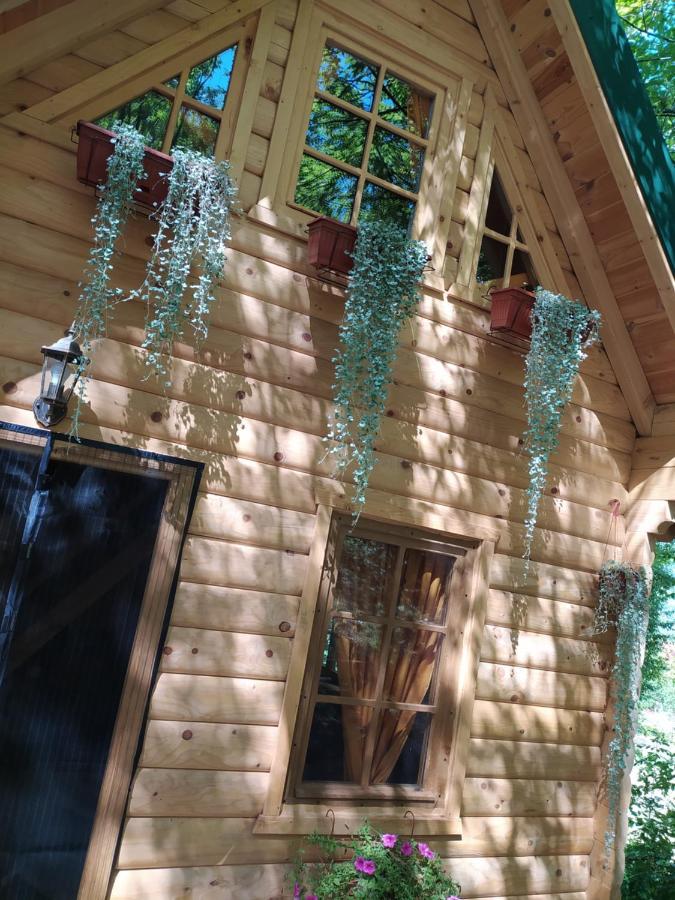 Brvnara Fairy Tale Villa Cetinje Exteriör bild