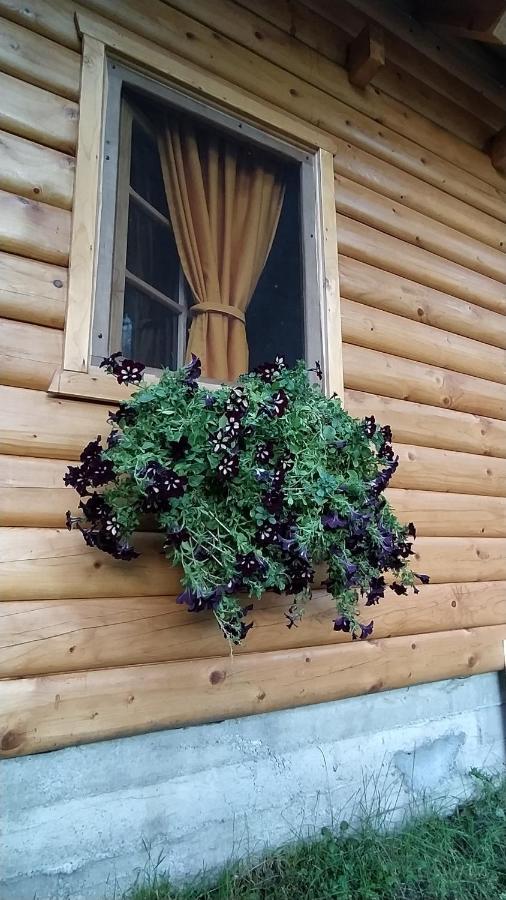 Brvnara Fairy Tale Villa Cetinje Exteriör bild