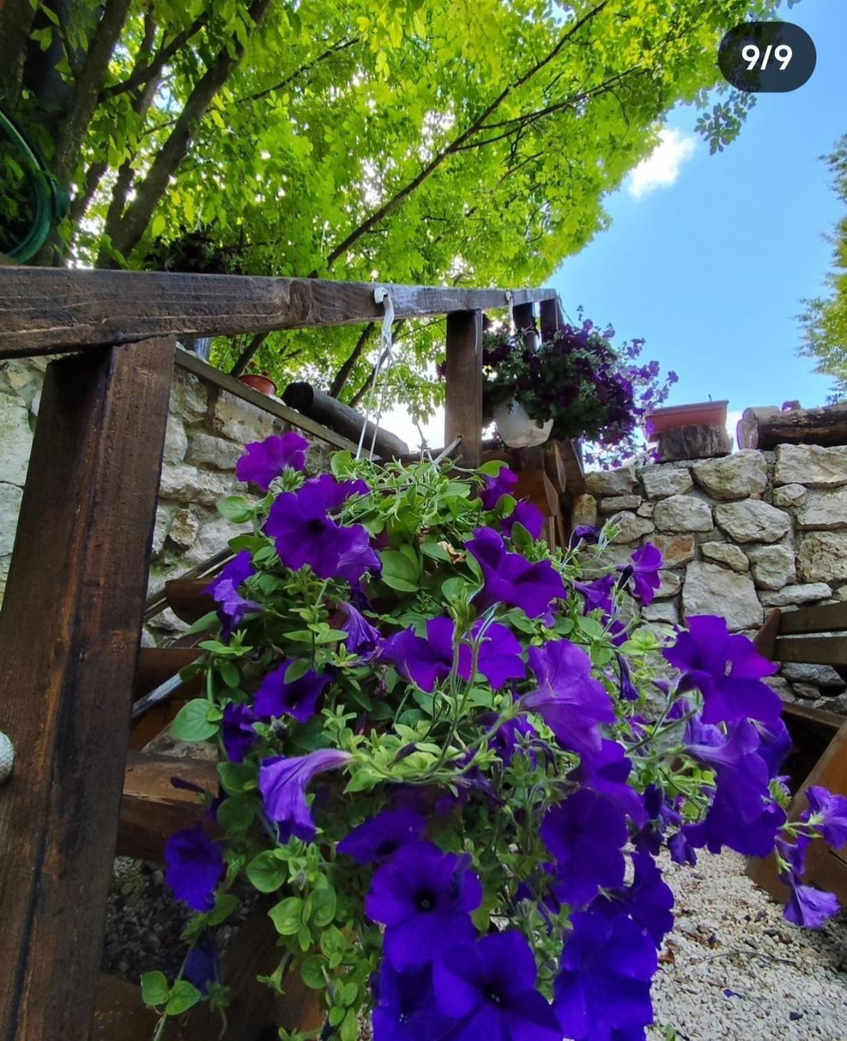 Brvnara Fairy Tale Villa Cetinje Exteriör bild