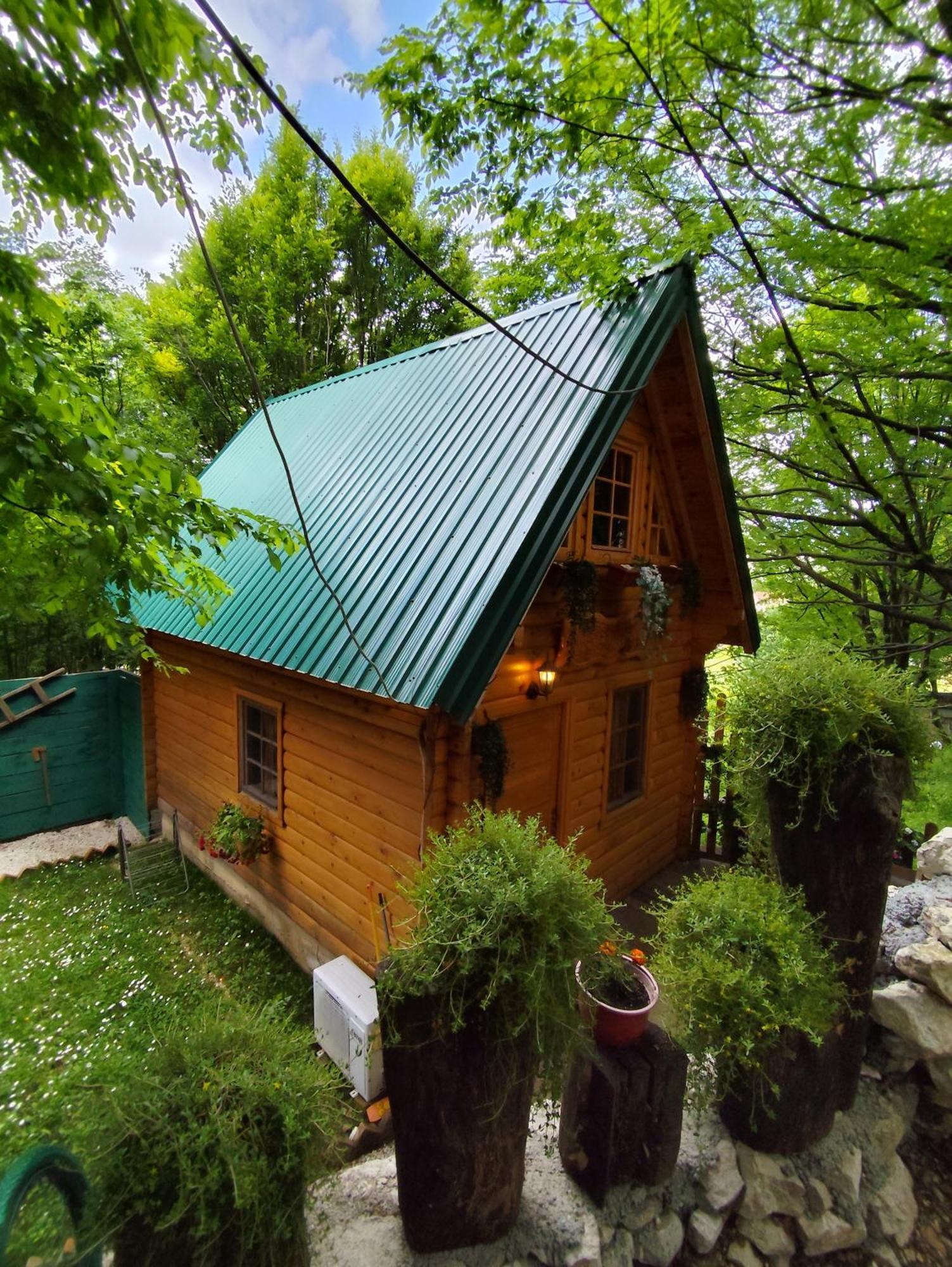 Brvnara Fairy Tale Villa Cetinje Exteriör bild