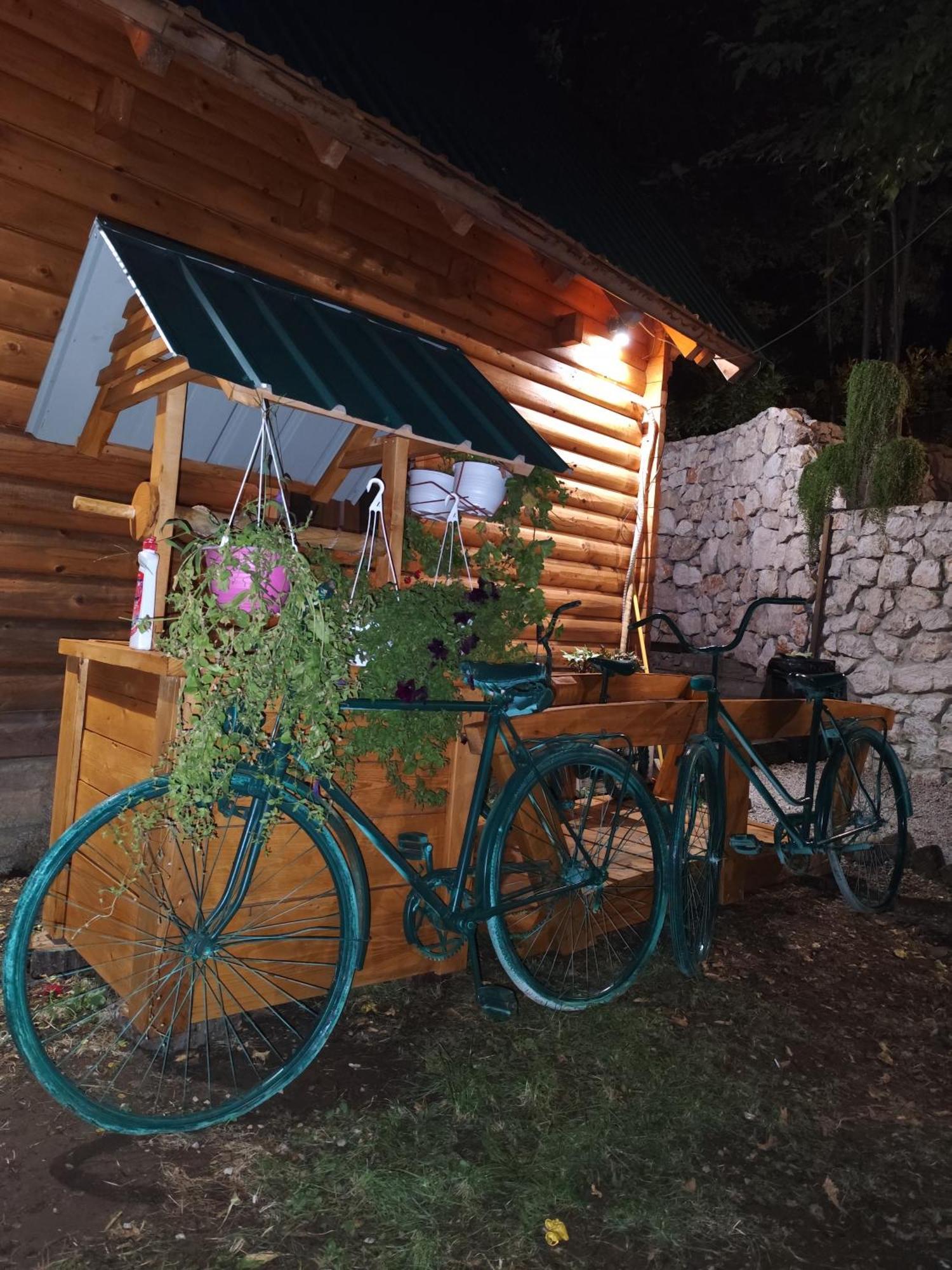 Brvnara Fairy Tale Villa Cetinje Exteriör bild